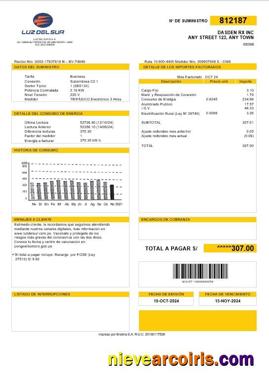 Peru Luz de Sur business utility bill